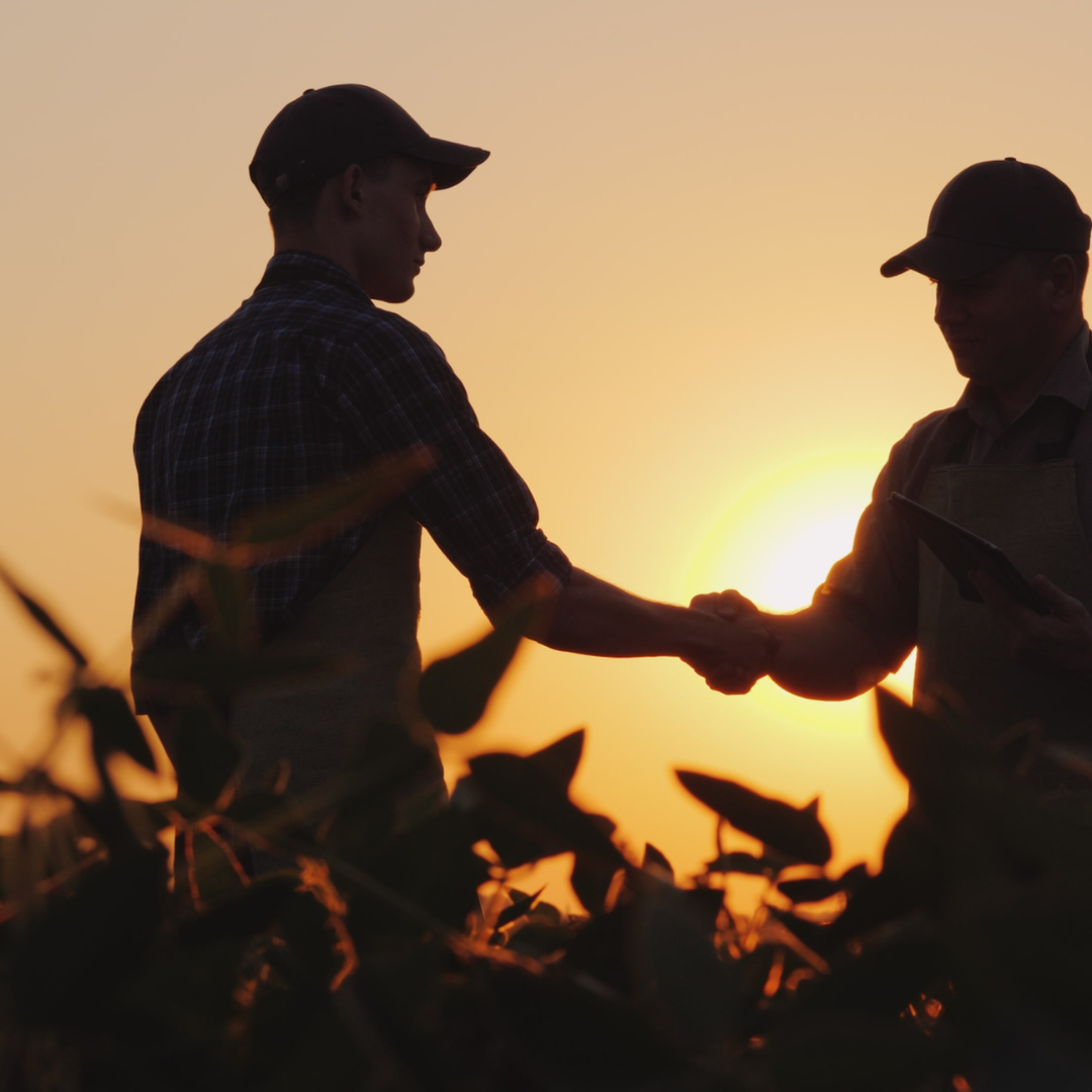 Ravade Services Pest Management