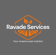 Ravade Services